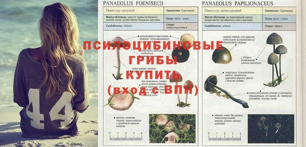 MDMA Premium VHQ Покровск