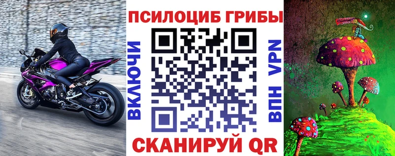 Псилоцибиновые грибы Psilocybine cubensis  Нижневартовск 