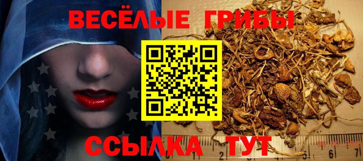 Галлюциногенные грибы GOLDEN TEACHER Нижневартовск